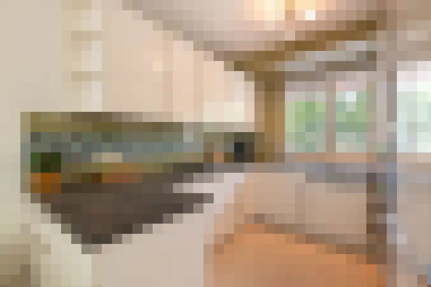 Groenstraat 59 Geleen thumbnail 4