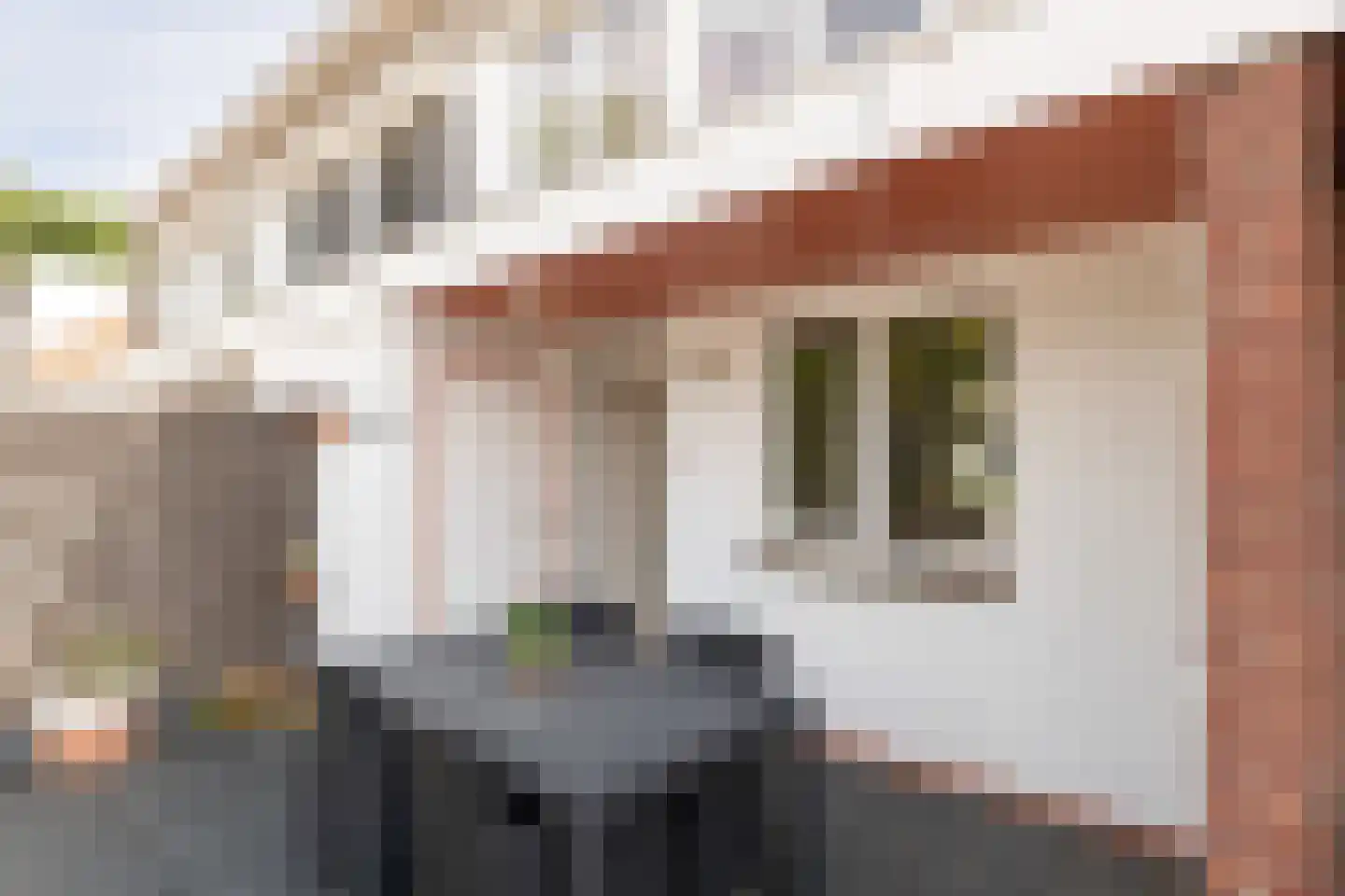 Groenstraat 59 Geleen thumbnail 8