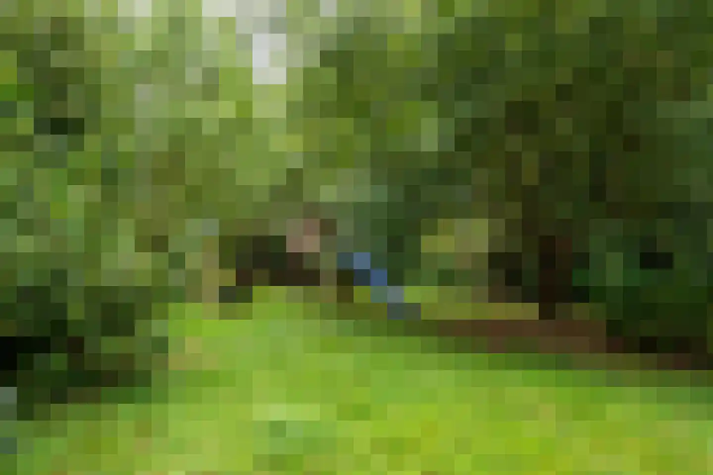 Groenstraat 6 Landgraaf thumbnail 29