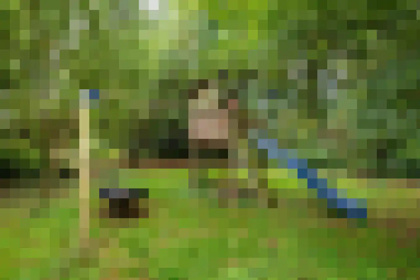 Groenstraat 6 Landgraaf thumbnail 30