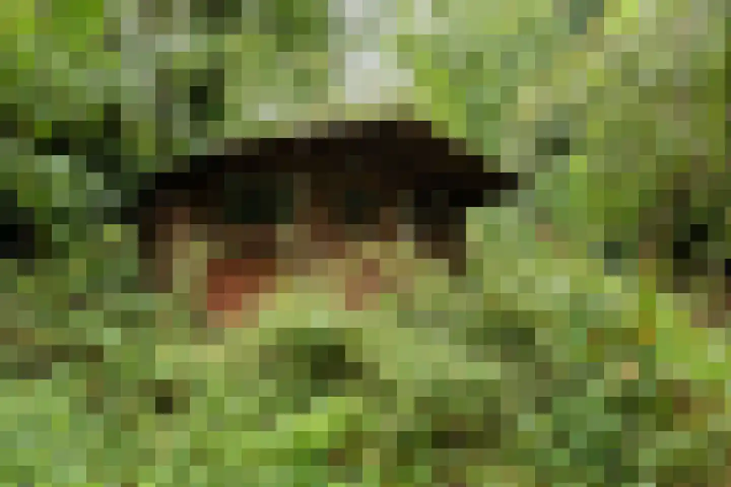 Groenstraat 6 Landgraaf thumbnail 31