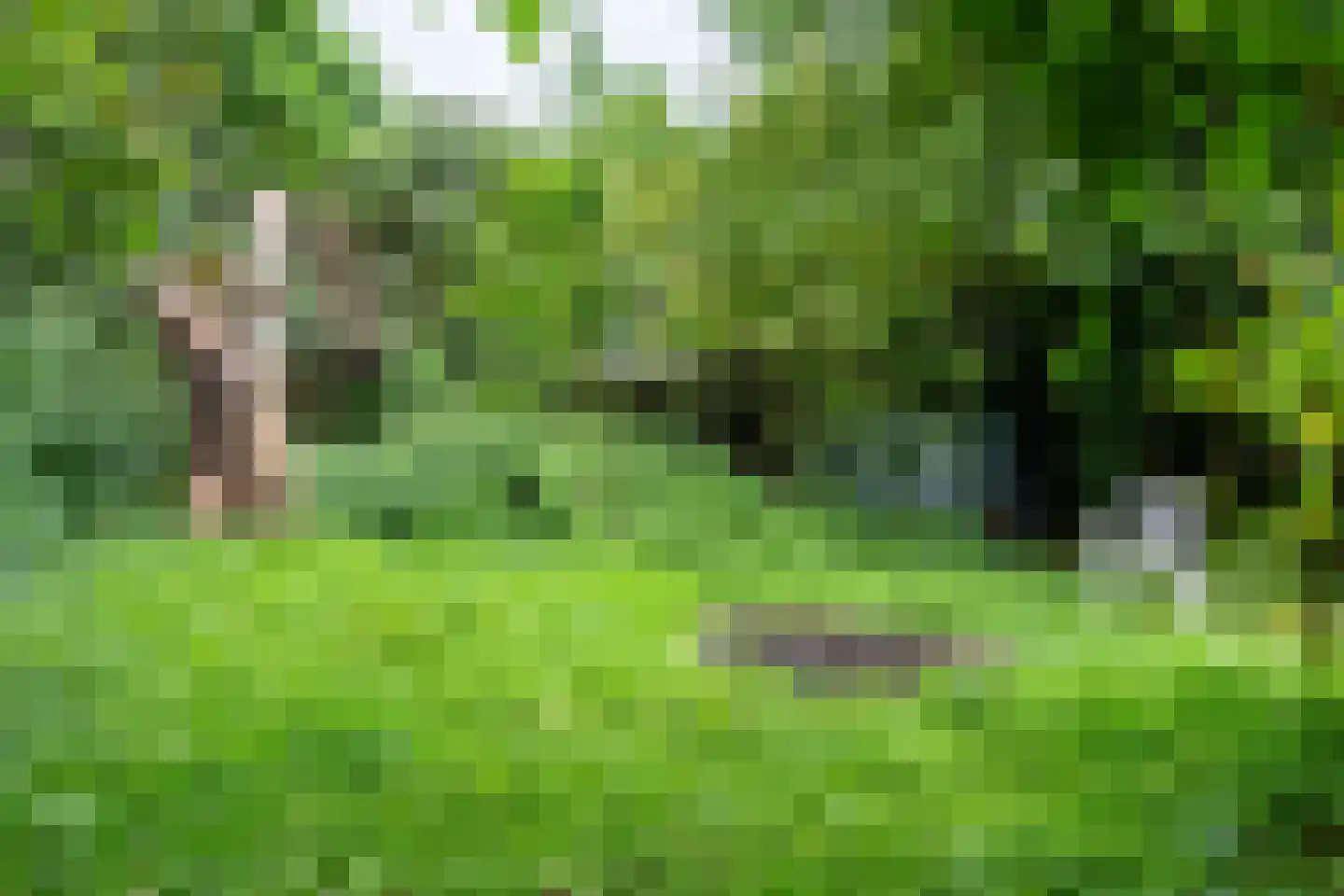 Groenstraat 6 Landgraaf thumbnail 32