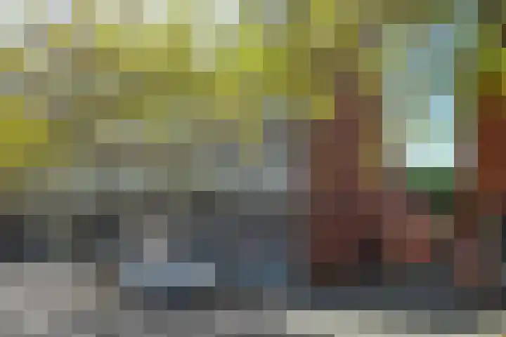 Groenstraat 63 Geleen thumbnail 47