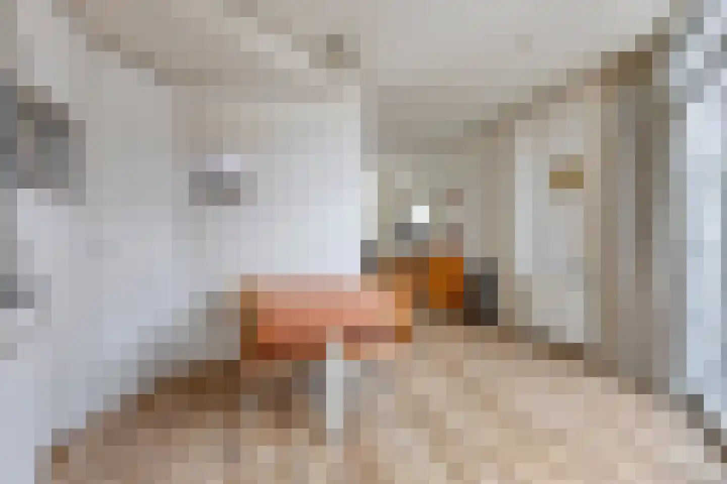 Groenstraat 67 Tilburg thumbnail 14