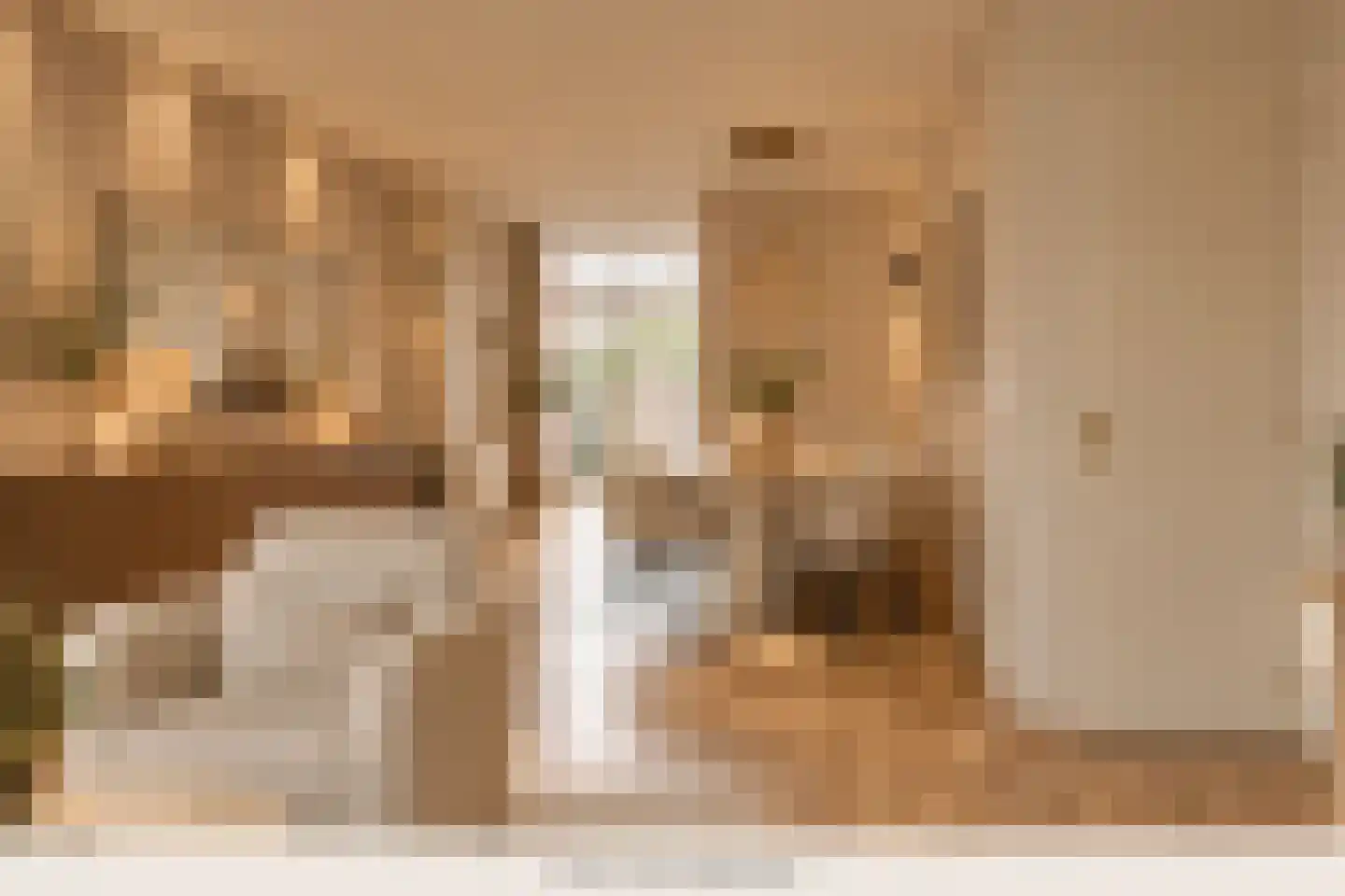 Groenstraat 67 Tilburg thumbnail 9