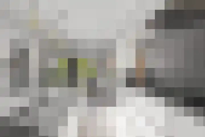 Groenstraat 68 Prinsenbeek thumbnail 12