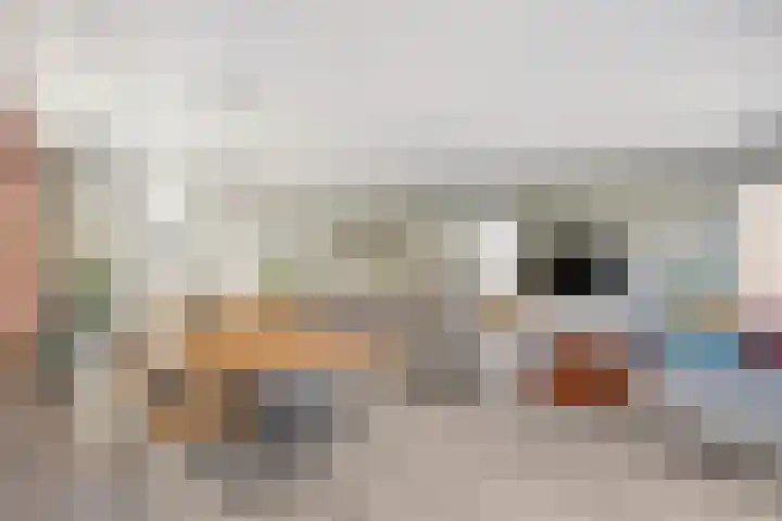 Groenstraat 68 Prinsenbeek thumbnail 4