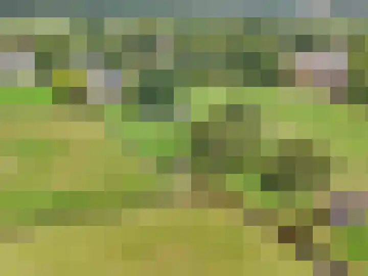 Groenstraat 69 Landgraaf thumbnail 20