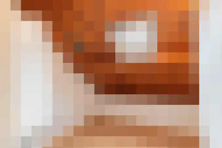 Groenstraat 69 Landgraaf thumbnail 22