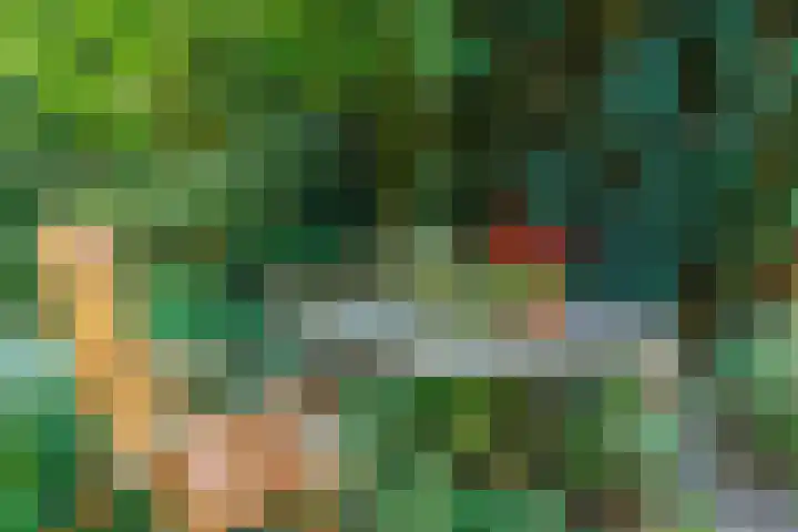 Groenstraat 69 Landgraaf thumbnail 31
