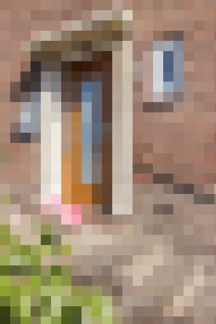 Groenstraat 69 Landgraaf thumbnail 31