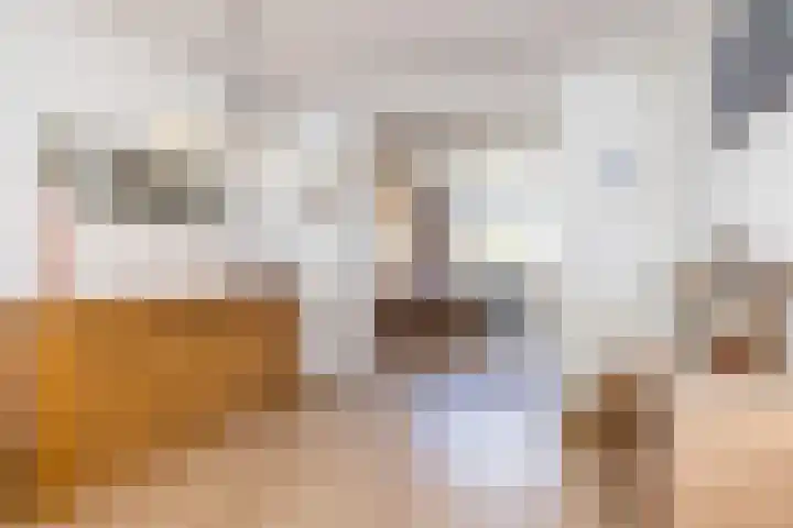 Groenstraat 69 Landgraaf thumbnail 7