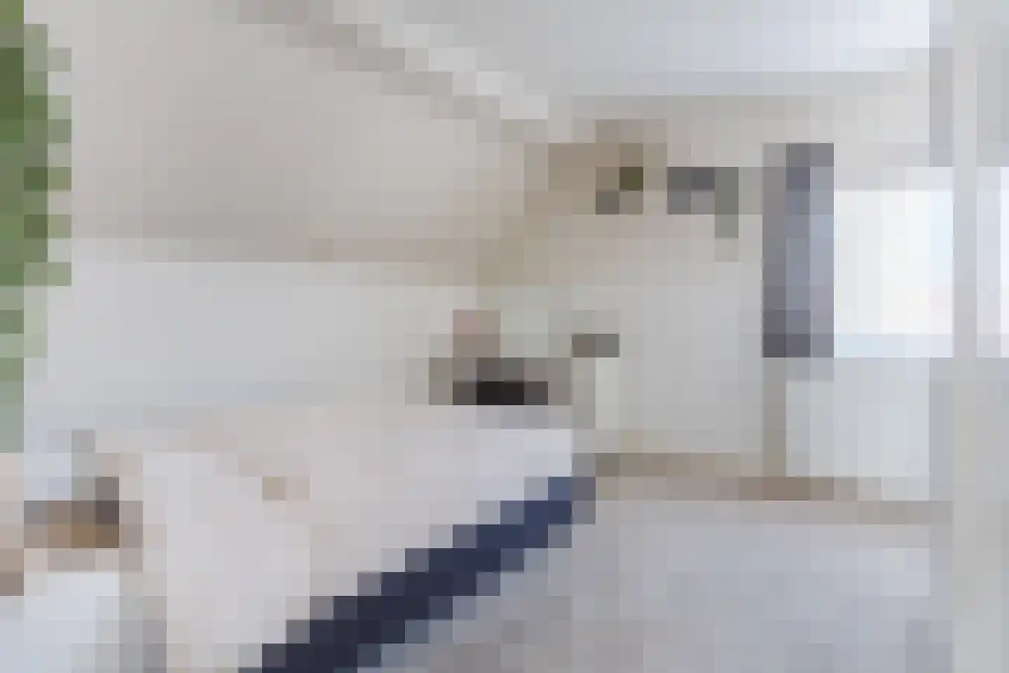 Groenstraat 7 Duizel thumbnail 32