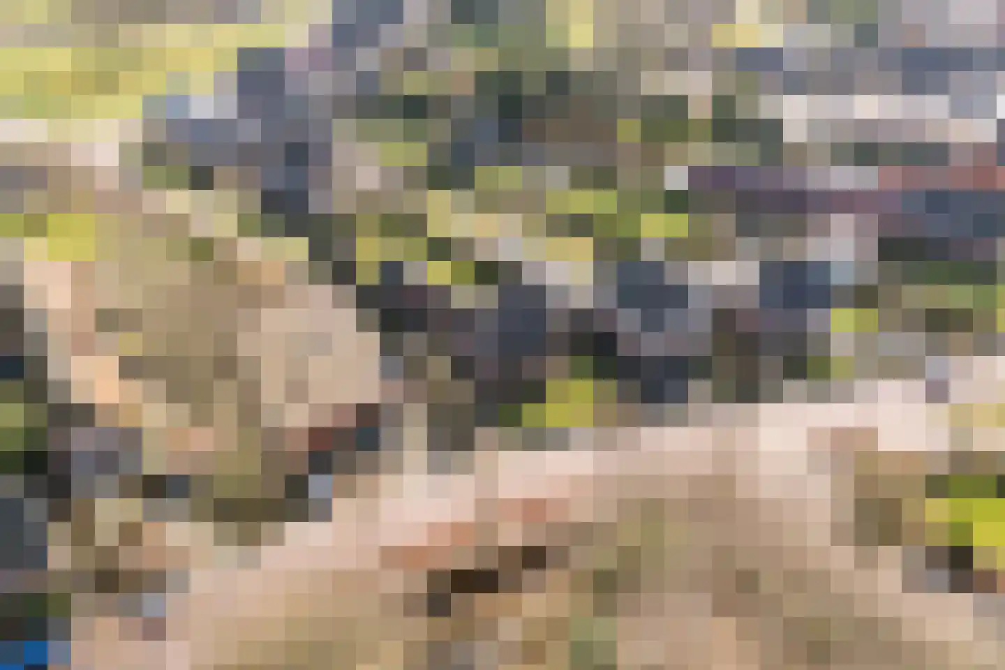 Groenstraat 7 Duizel thumbnail 4