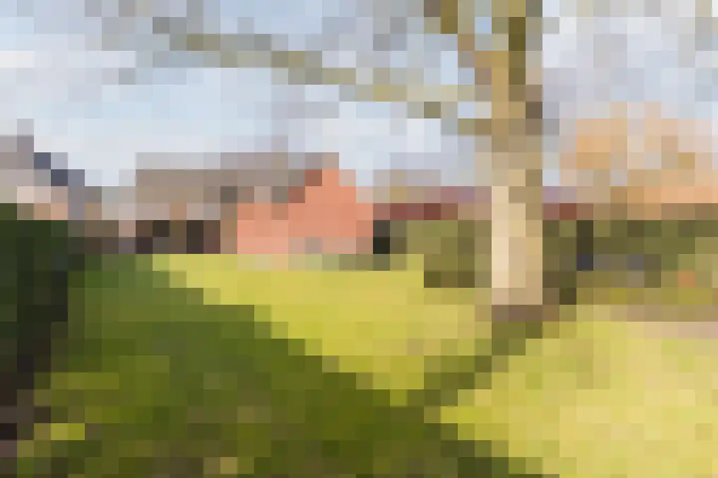 Groenstraat 7 Duizel thumbnail 59