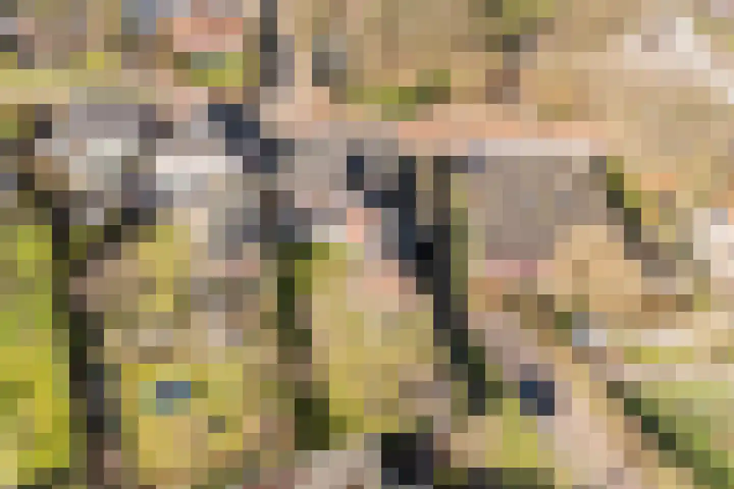 Groenstraat 7 Duizel thumbnail 62