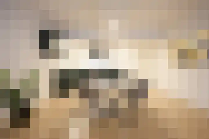 Groenstraat 71 Geleen thumbnail 10