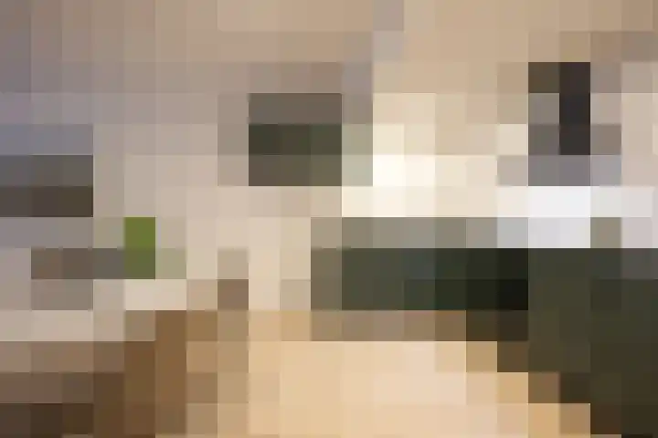 Groenstraat 71 Geleen thumbnail 11