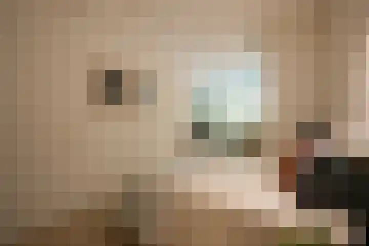 Groenstraat 71 Geleen thumbnail 22