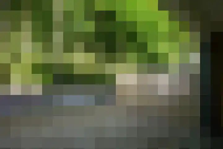 Groenstraat 71 Geleen thumbnail 32