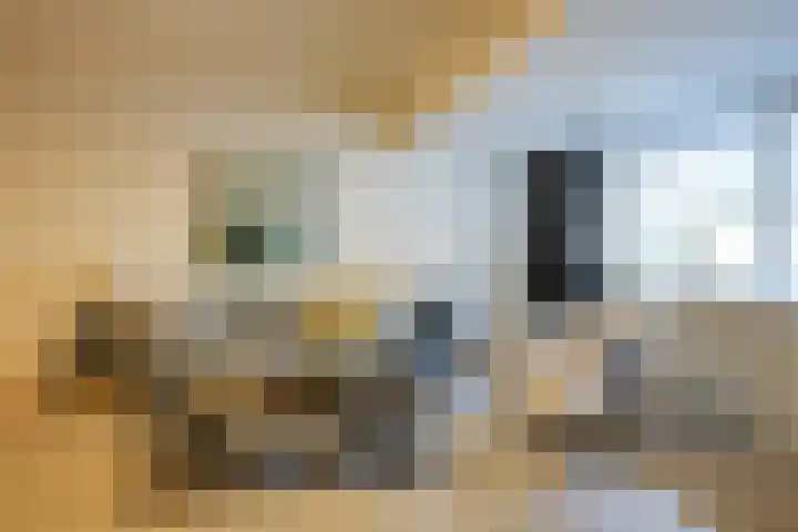 Groenstraat 71 Geleen thumbnail 4