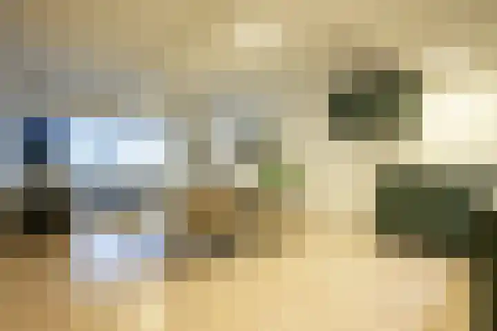Groenstraat 71 Geleen thumbnail 8