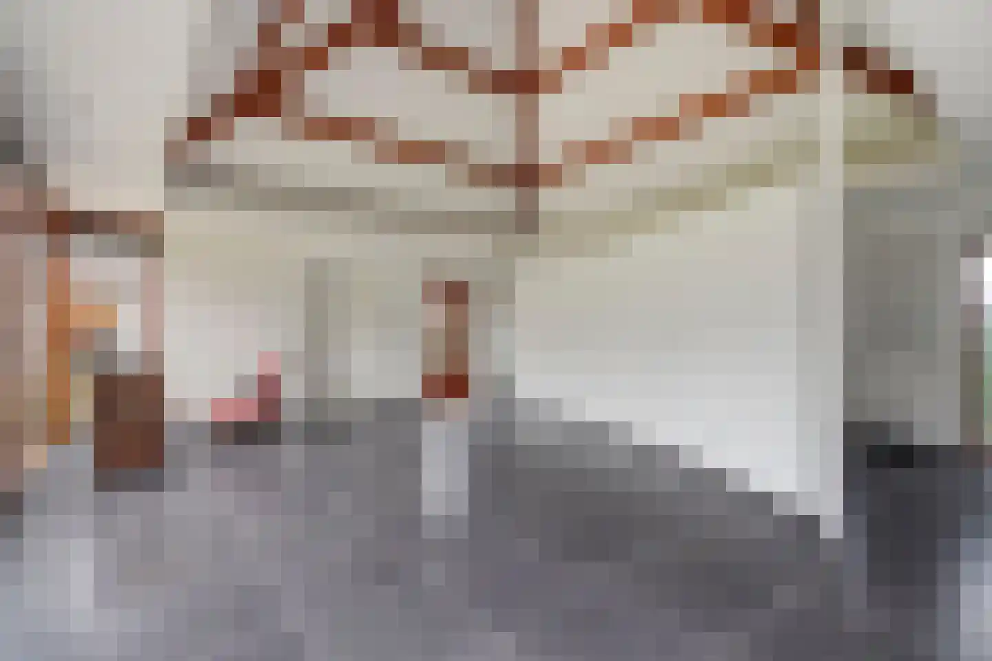 Groenstraat 75 Prinsenbeek thumbnail 15