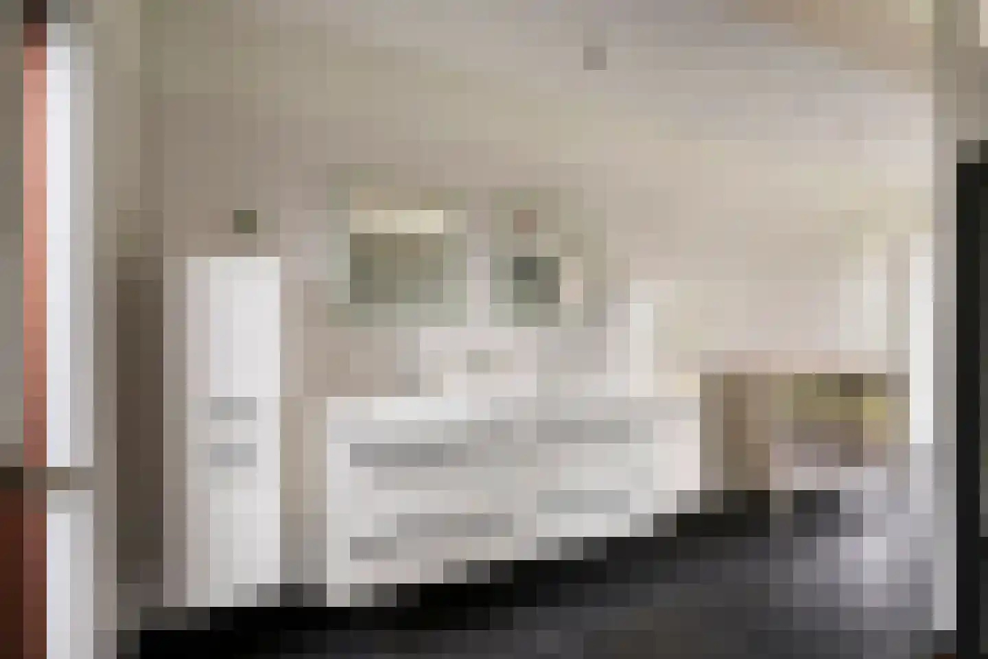 Groenstraat 75 Prinsenbeek thumbnail 20