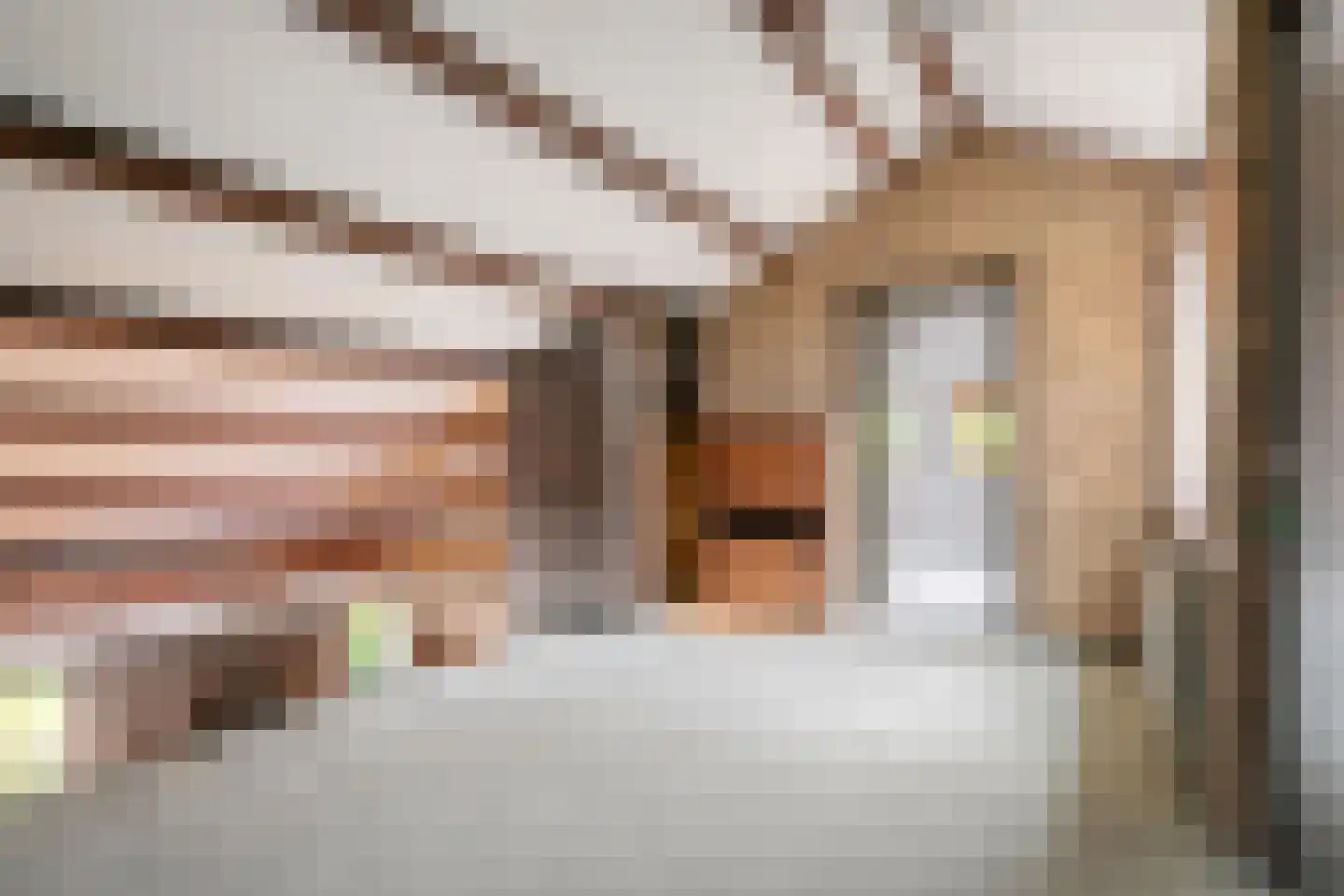 Groenstraat 75 Prinsenbeek thumbnail 23
