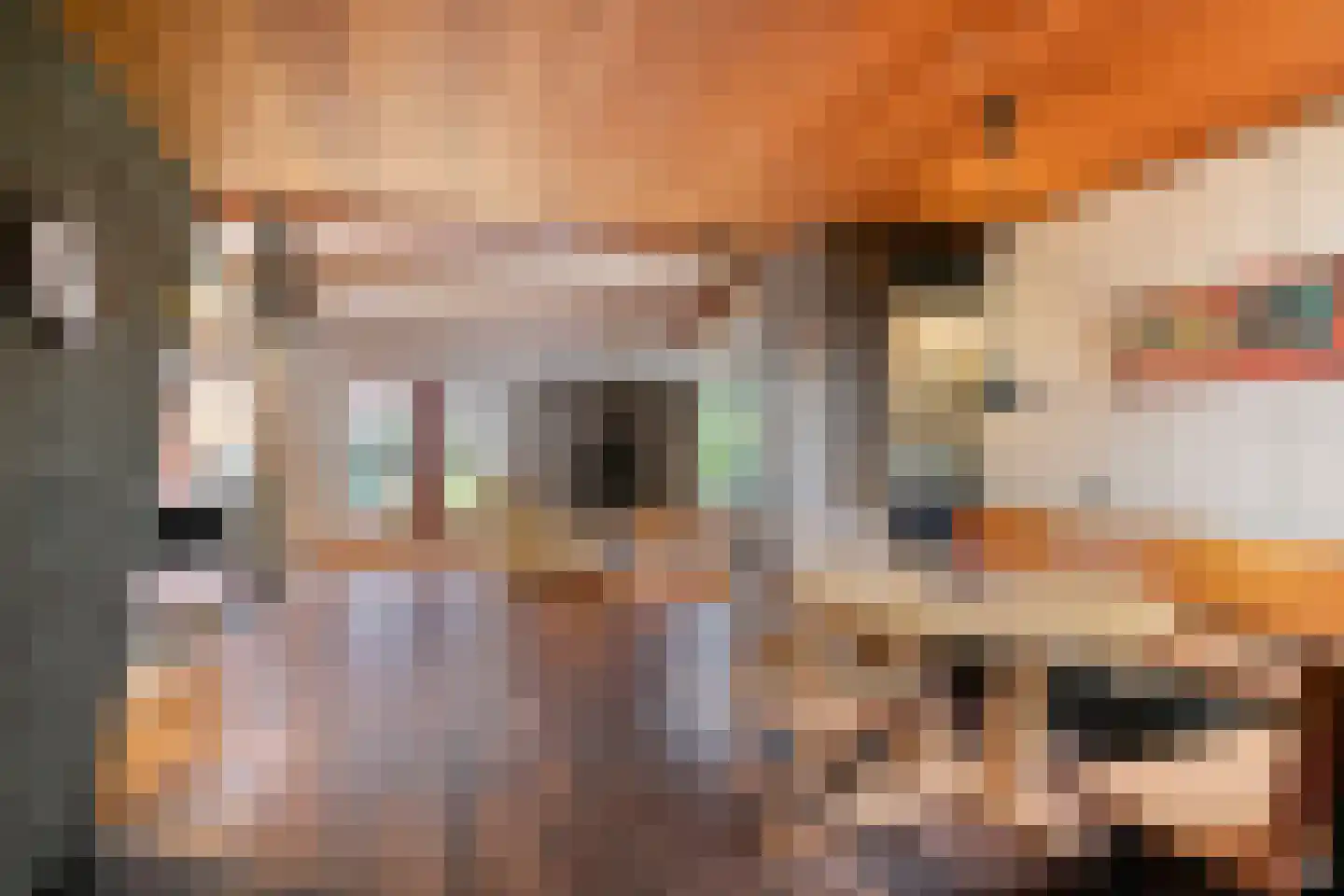 Groenstraat 75 Prinsenbeek thumbnail 5