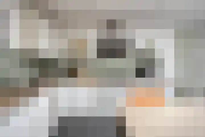 Groenstraat 77 Tilburg thumbnail 10