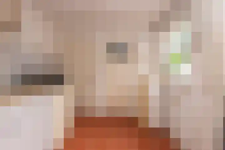 Groenstraat 78 Tilburg thumbnail 12