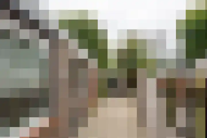Groenstraat 78 Tilburg thumbnail 25