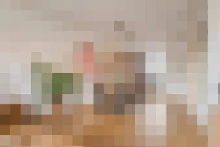 Groenstraat 8 Prinsenbeek thumbnail 10