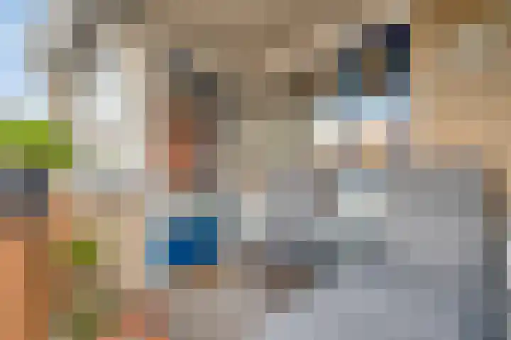 Groenstraat 8 Prinsenbeek thumbnail 24