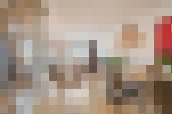 Groenstraat 8 Prinsenbeek thumbnail 9