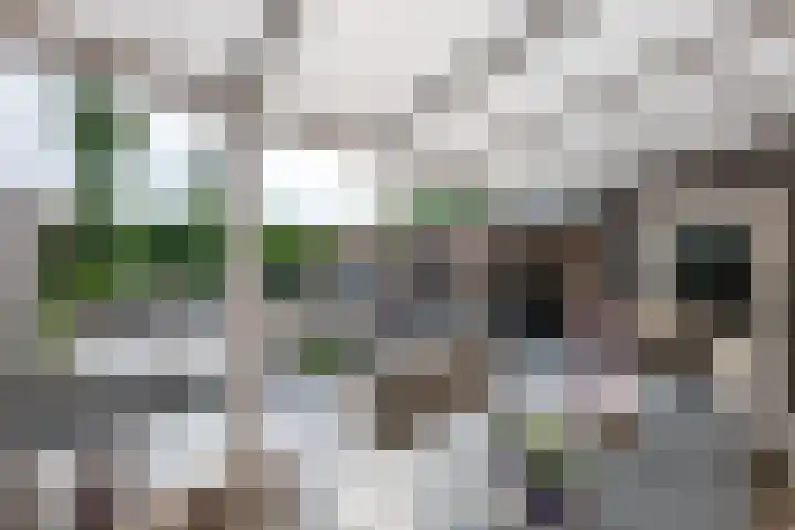 Groenstraat 80 Landgraaf thumbnail 18