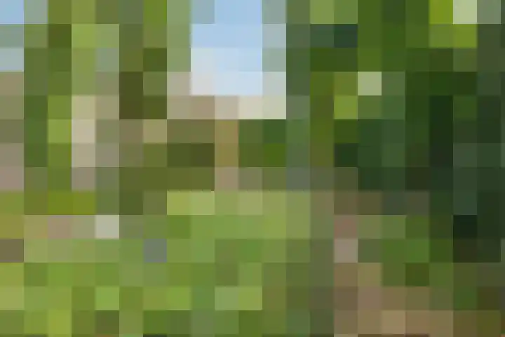 Groenstraat 80 Landgraaf thumbnail 23