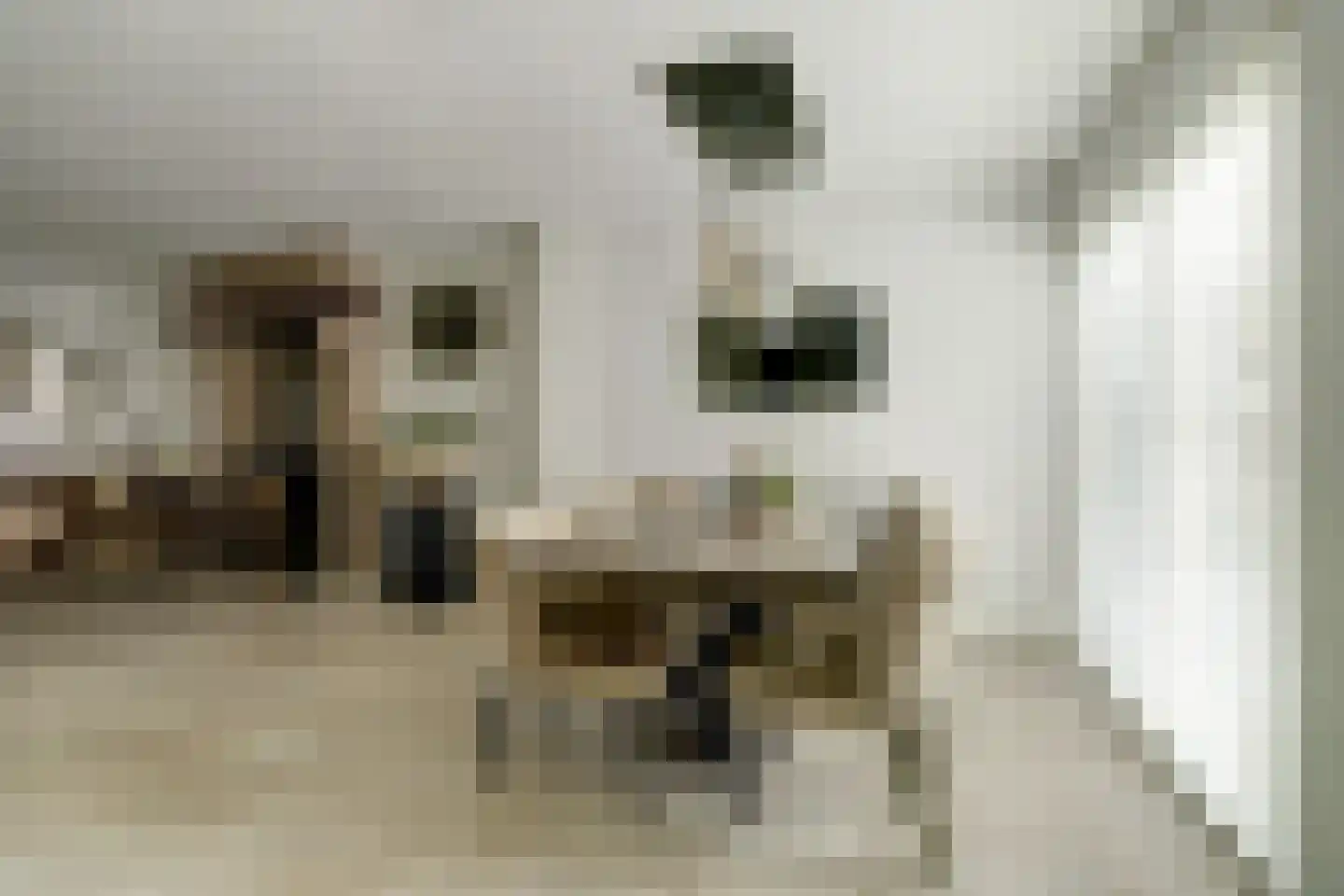 Groenstraat 86 Tilburg thumbnail 12