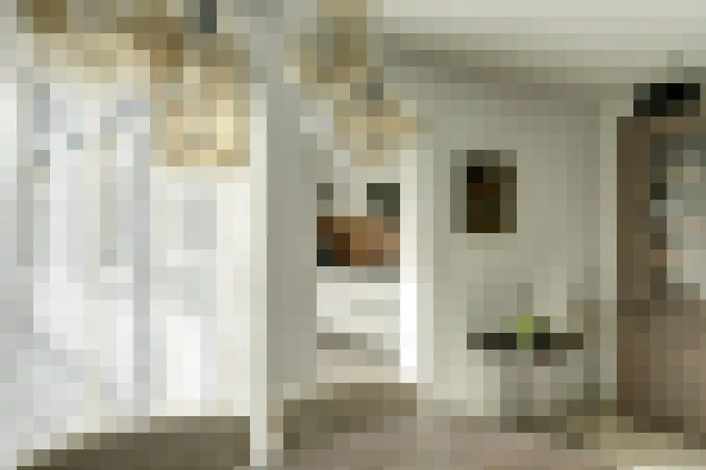 Groenstraat 86 Tilburg thumbnail 13