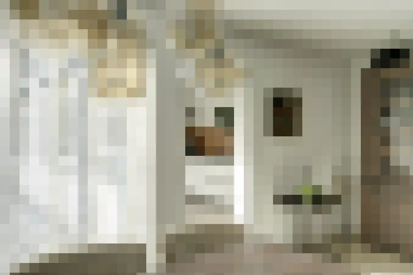 Groenstraat 86 Tilburg thumbnail 13