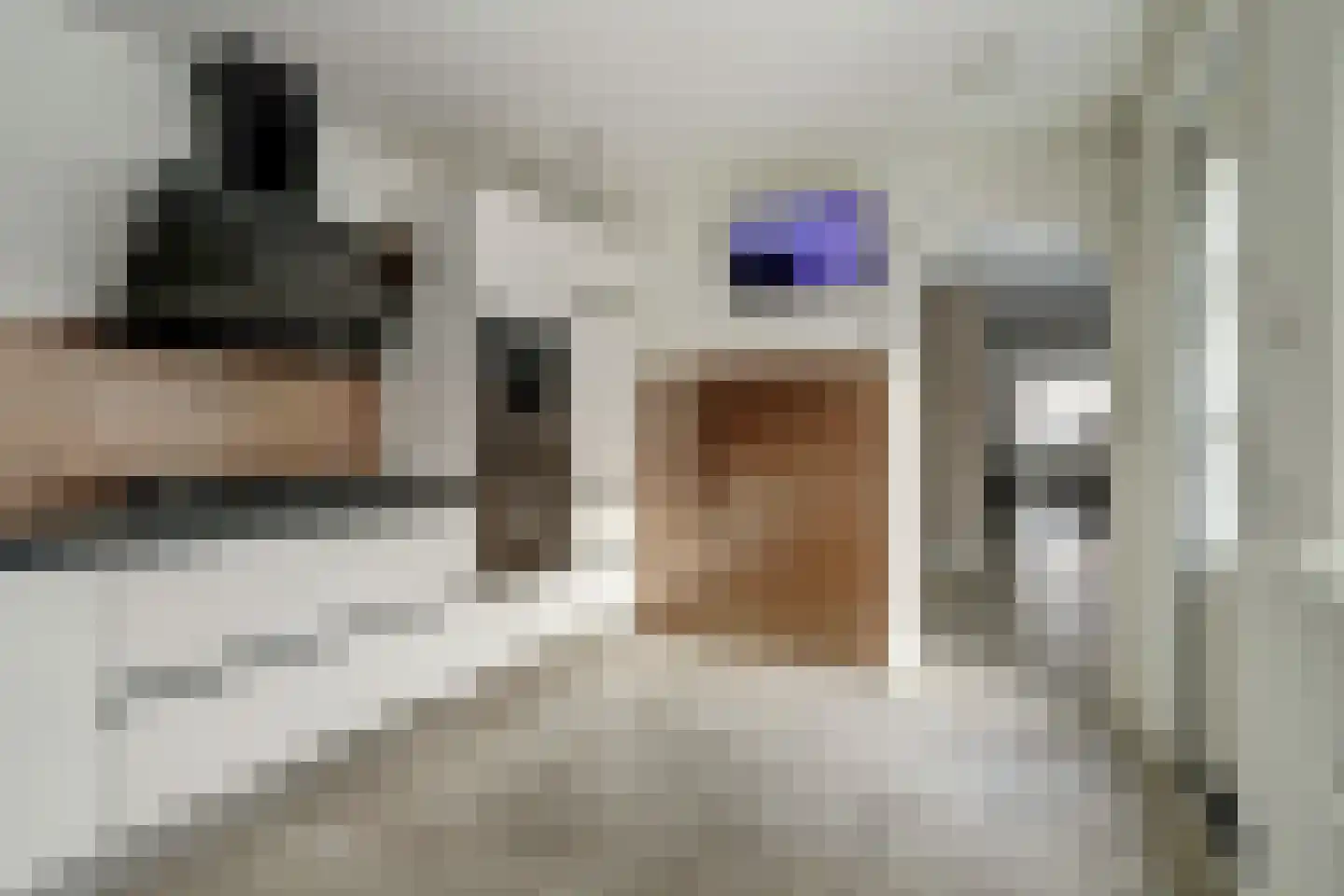 Groenstraat 86 Tilburg thumbnail 16