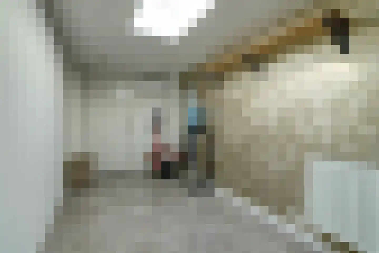 Groenstraat 86 Tilburg thumbnail 24