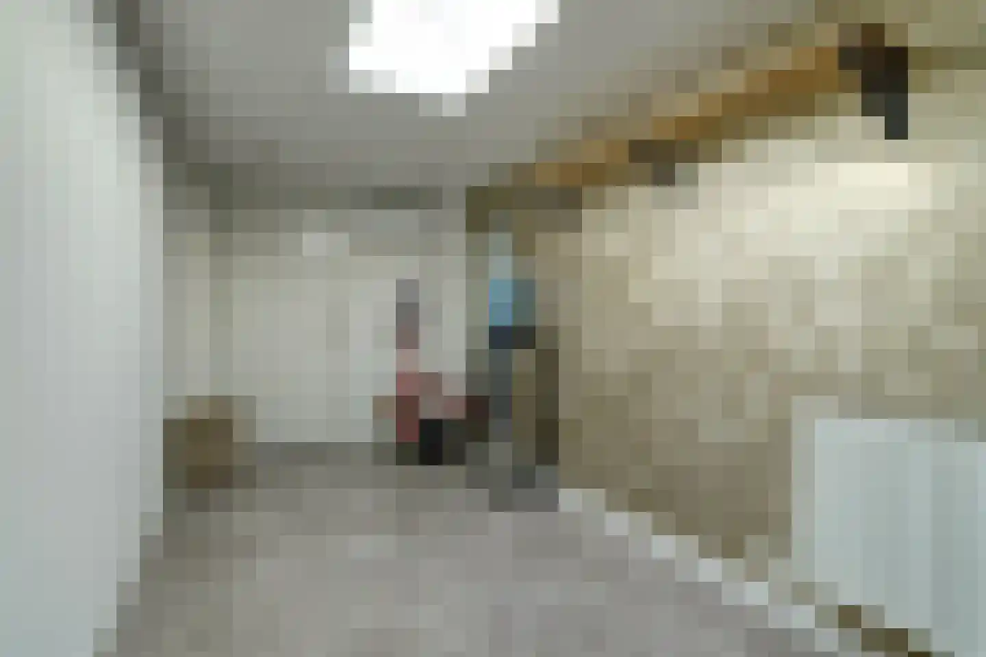 Groenstraat 86 Tilburg thumbnail 24