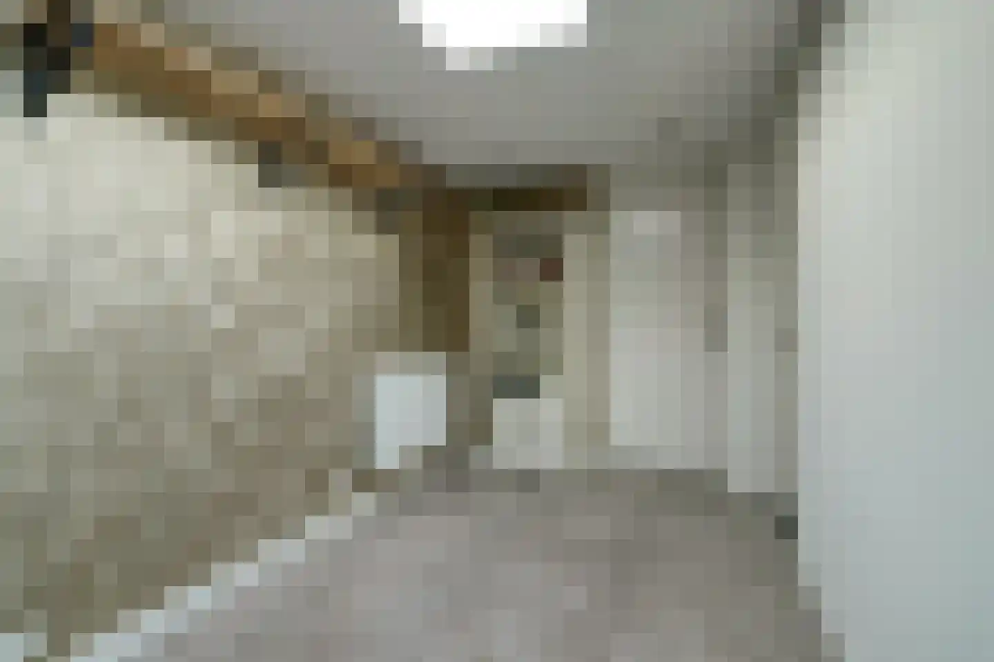 Groenstraat 86 Tilburg thumbnail 25
