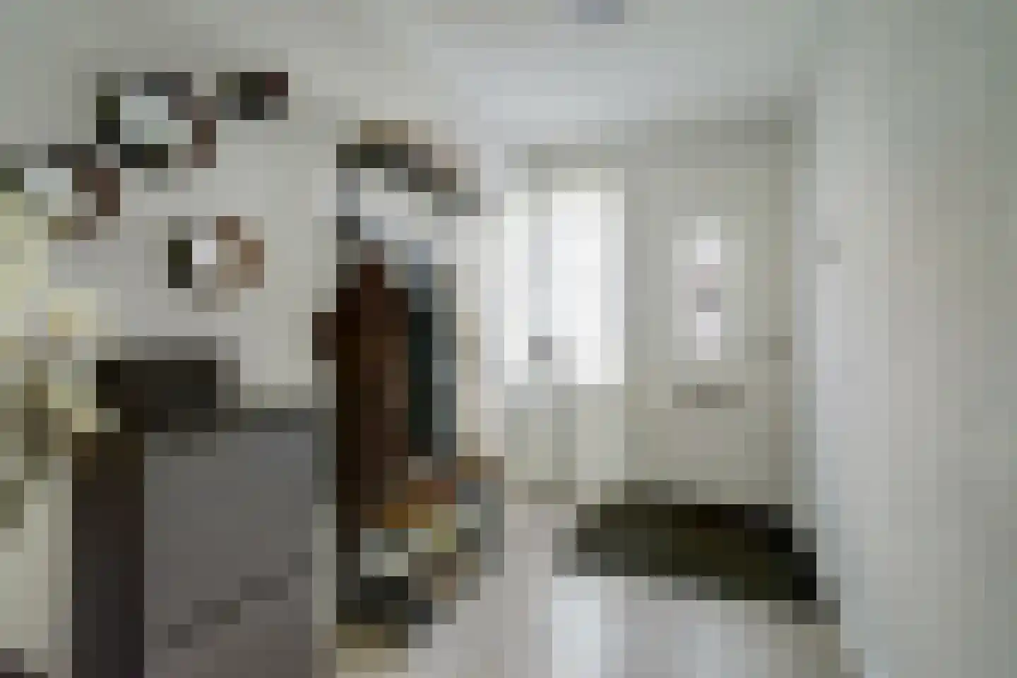 Groenstraat 86 Tilburg thumbnail 4
