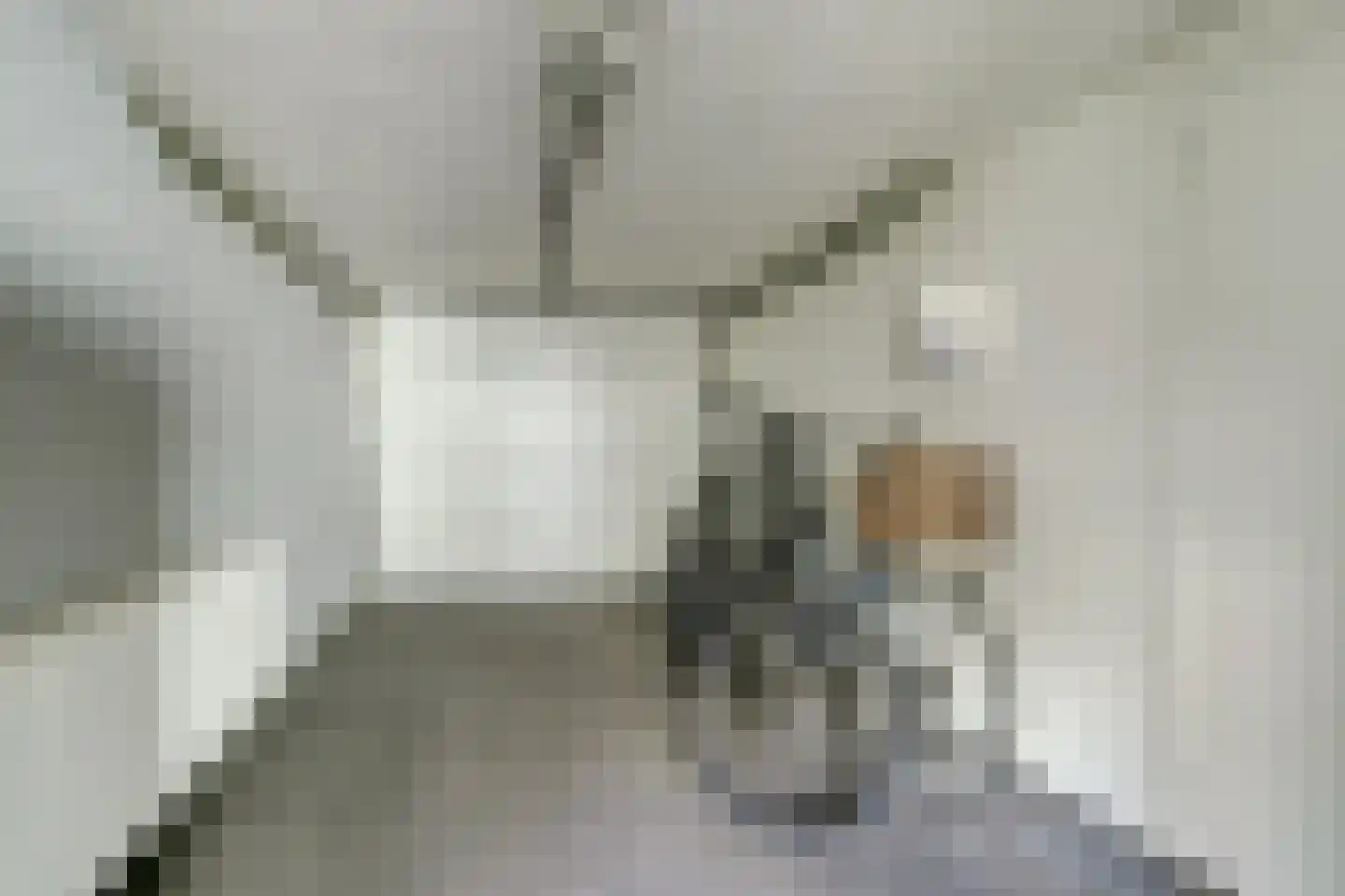 Groenstraat 86 Tilburg thumbnail 43