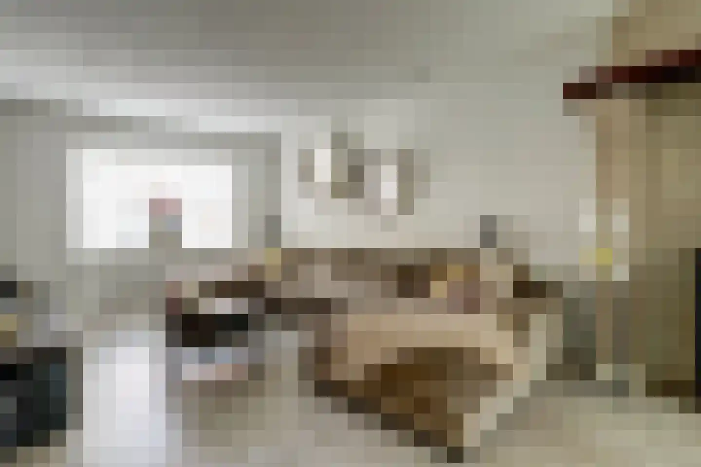 Groenstraat 86 Tilburg thumbnail 5
