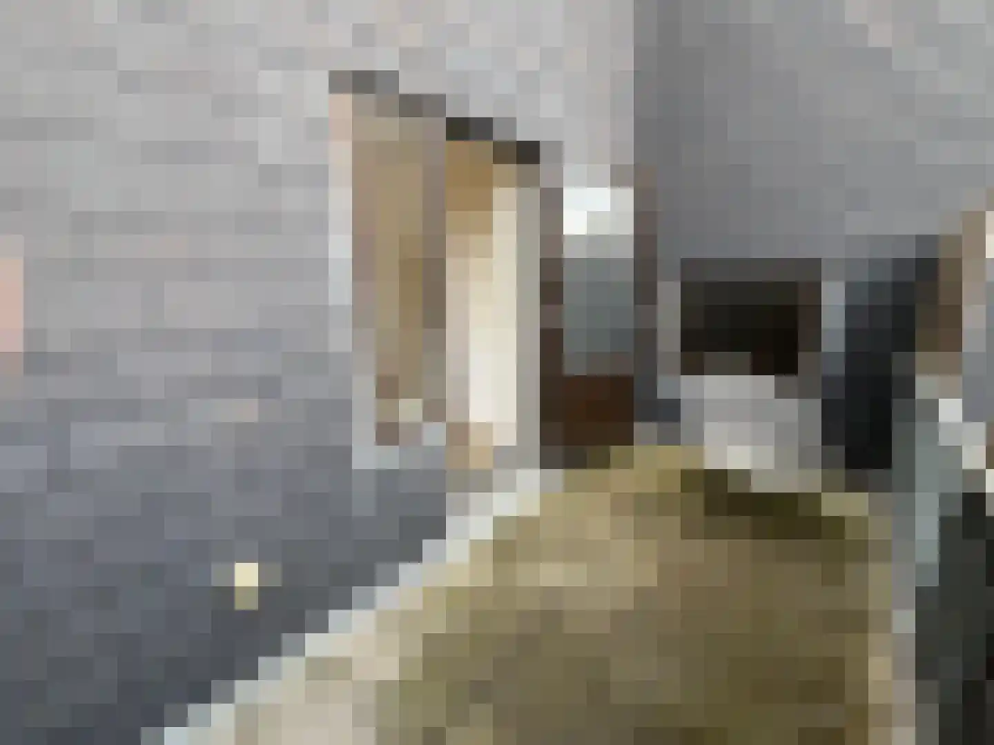Groenstraat 9 Geleen thumbnail 14