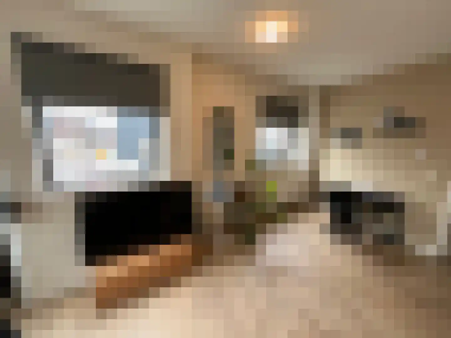 Groenstraat 9 Geleen thumbnail 8
